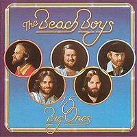 The Beach Boys : 15 Big Ones
